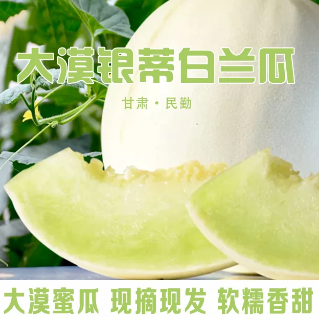 （顺丰）甘肃民勤大漠银蒂白兰瓜 白皮绿瓤 软糯香甜包邮 坏果包赔