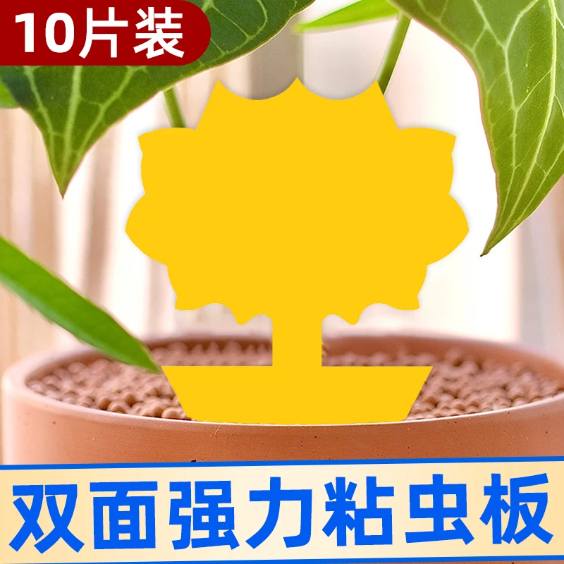 空消双面粘虫板强力粘胶黄色家用灭小飞虫果蝇粘板蓟马盆栽粘除虫