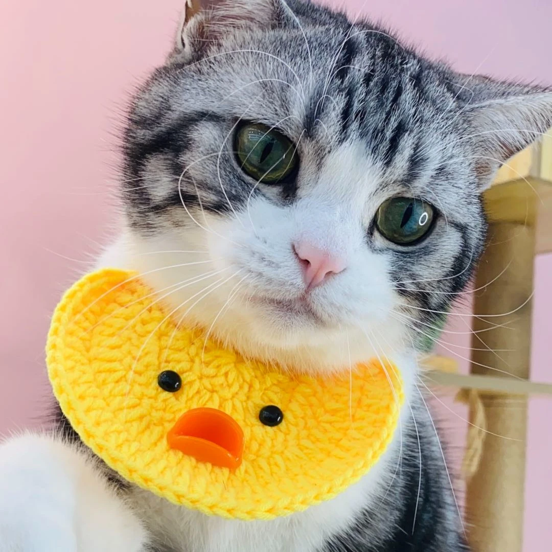 【小黄鸭口水巾】超萌可爱宠物猫咪口水巾狗狗围兜甜美围脖头饰