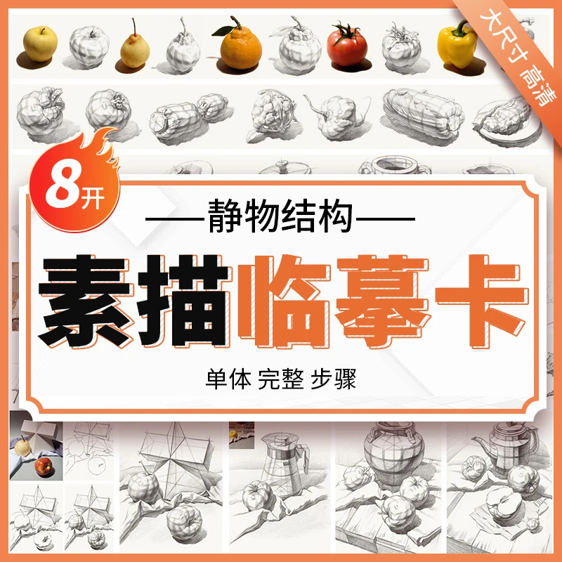 智绘鸟素描静物结构临摹卡8K 卡片高清精微石膏画卡单体明暗结构