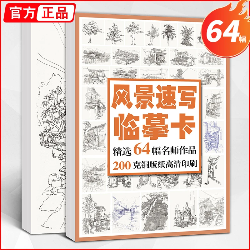 智绘鸟风景速写临摹卡64幅 高清临摹卡名师基础技法入门
