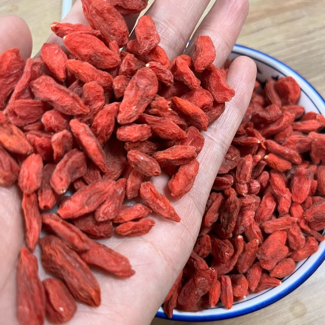 红枸杞 宁夏红枸杞