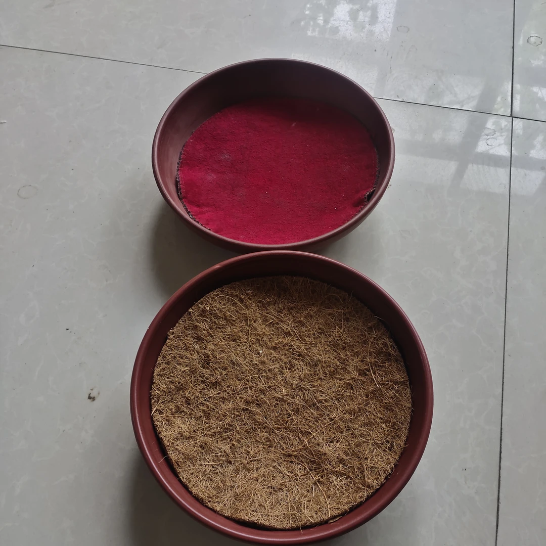 鸽子塑料仿瓷巢盆!鸽具
