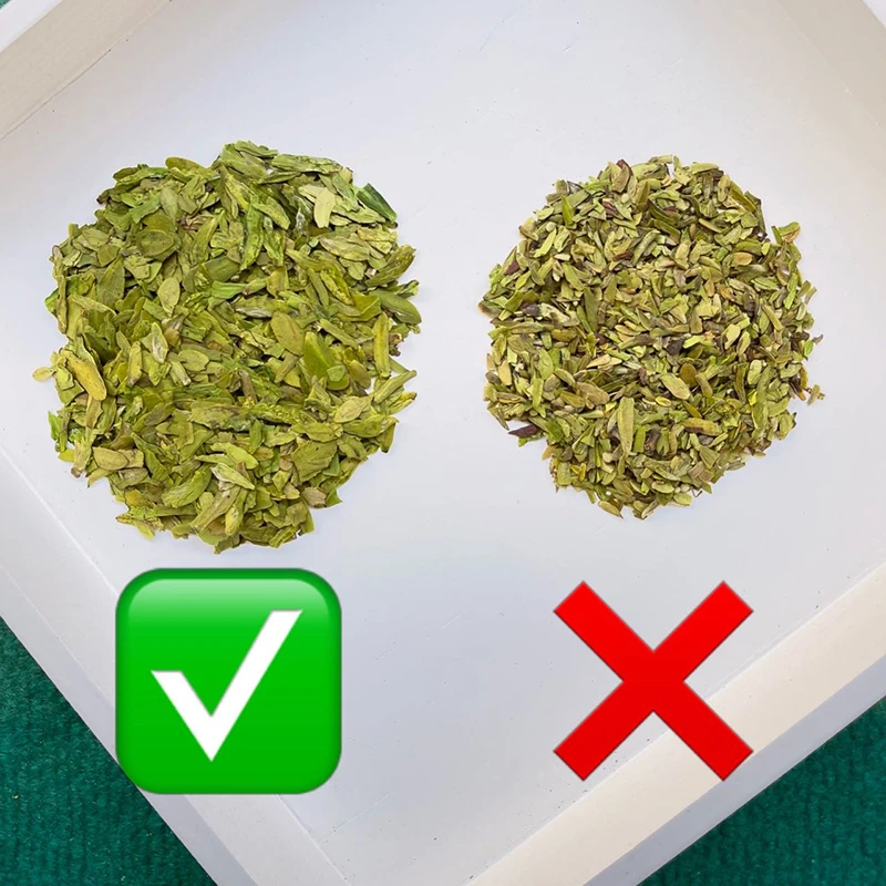 2025年新茶明前粗茶片500g一斤