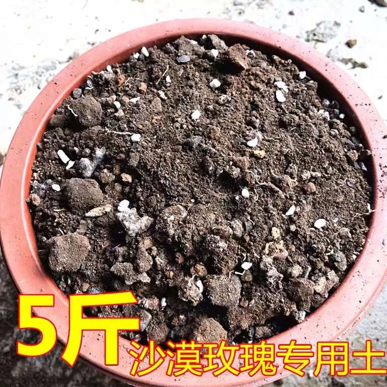 沙漠玫瑰专用配方土自配沙质土5斤装