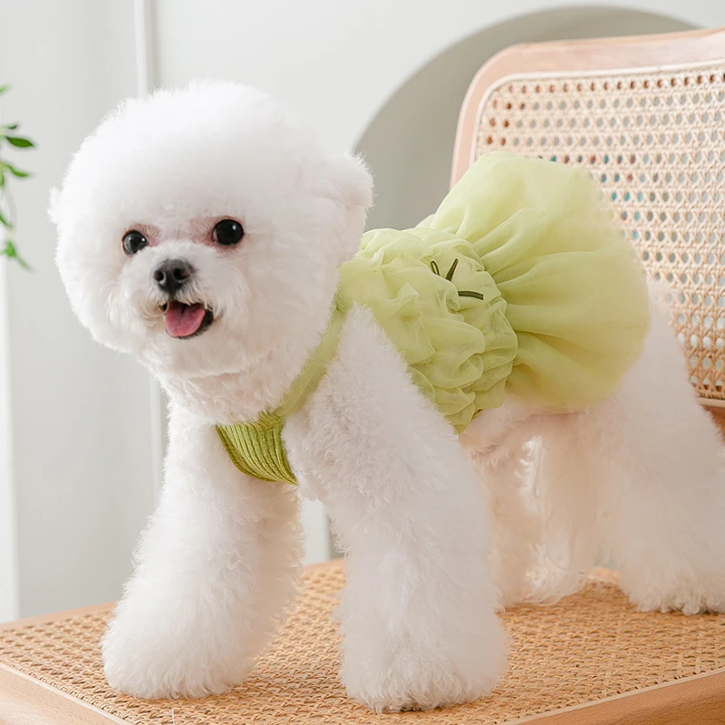 [达人SX]彩色仙女网纱裙透气可爱风格轻薄高弹透气宠物夏装5012