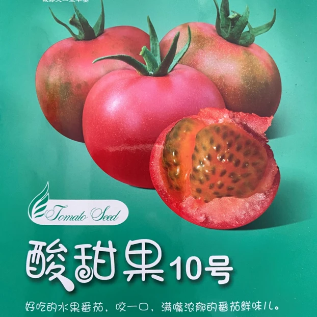 豫艺酸甜果10号水果番茄种子 酸甜可口果色粉亮番茄种子优质蔬菜