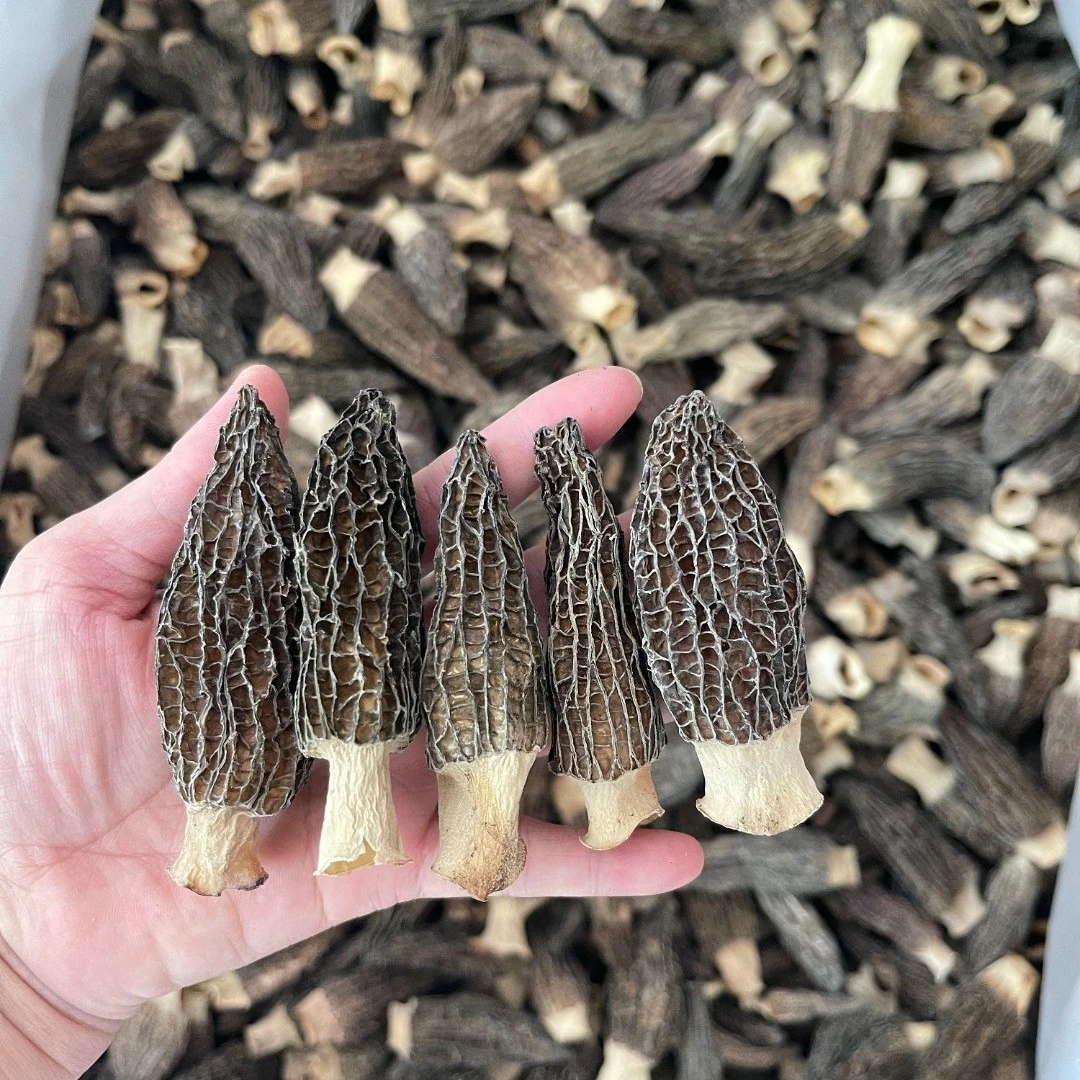 广东汕头凌盛羊肚菌煲汤50g-500g