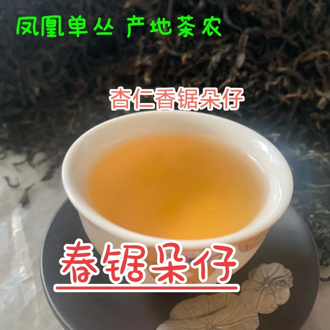 【茶农】春季锯朵仔杏仁香 凤凰单丛茶501潮州工夫茶叶产地潮山馫