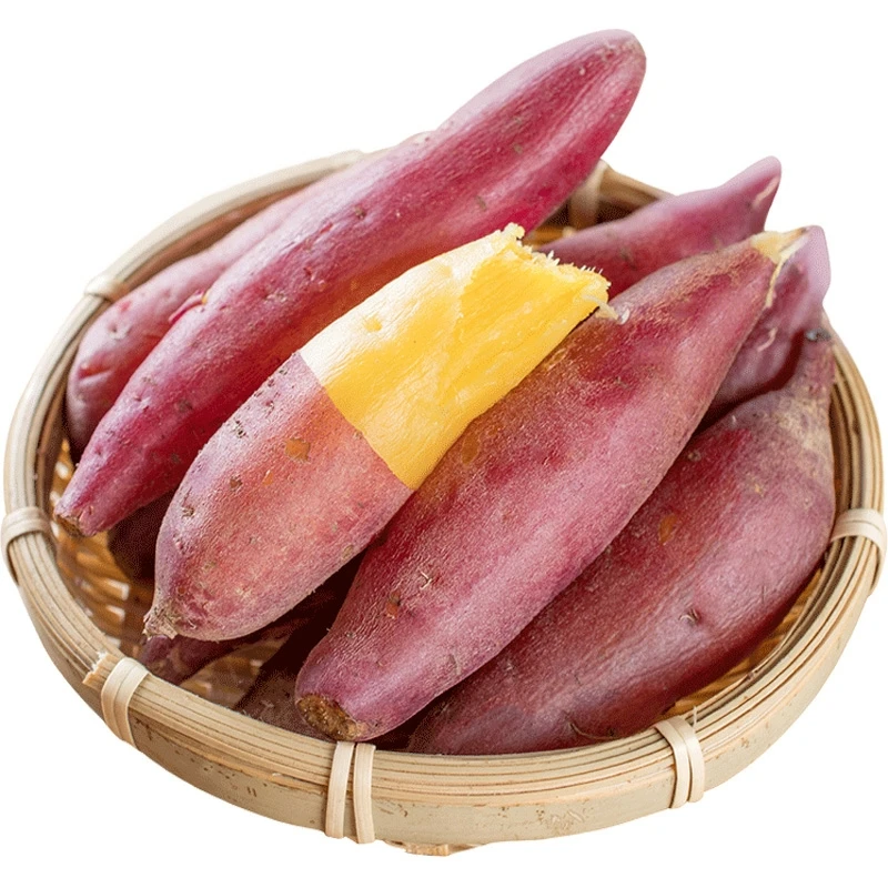 中果3斤-5斤天目山小香薯单果80g-150g新鲜原产地甜糯红薯小香薯