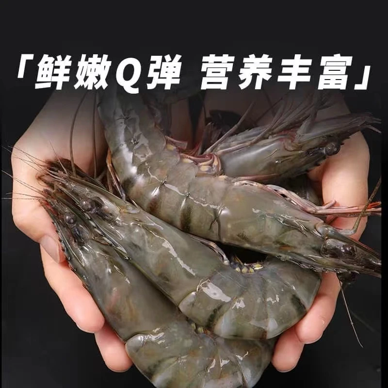 福建东山岛 黑虎虾（1斤35-40只）天然海捕液氮速冻  到手3斤