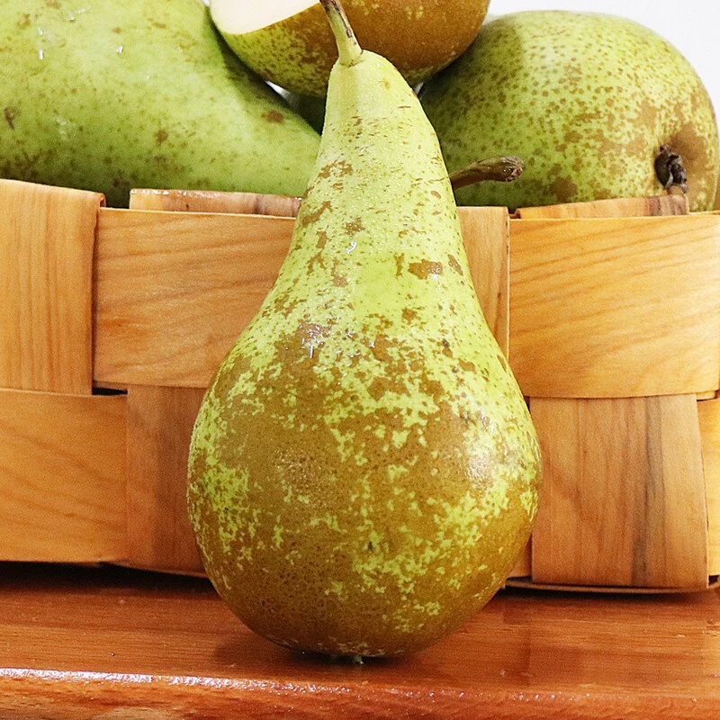 《丹选》啤梨 4.5斤左右 发10颗 顺丰包邮