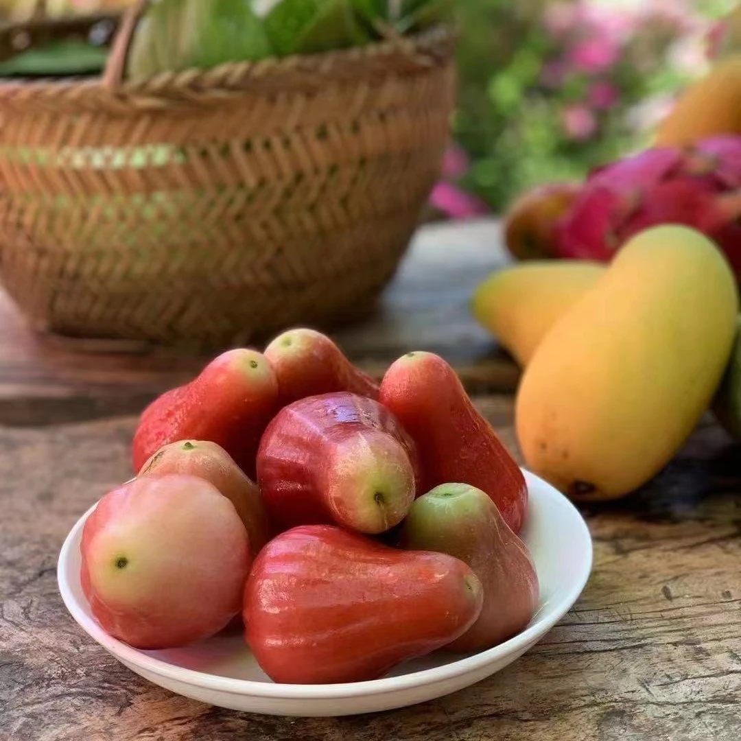 三亚篱笆岛南鹿有机莲雾顺丰空运 有机认证