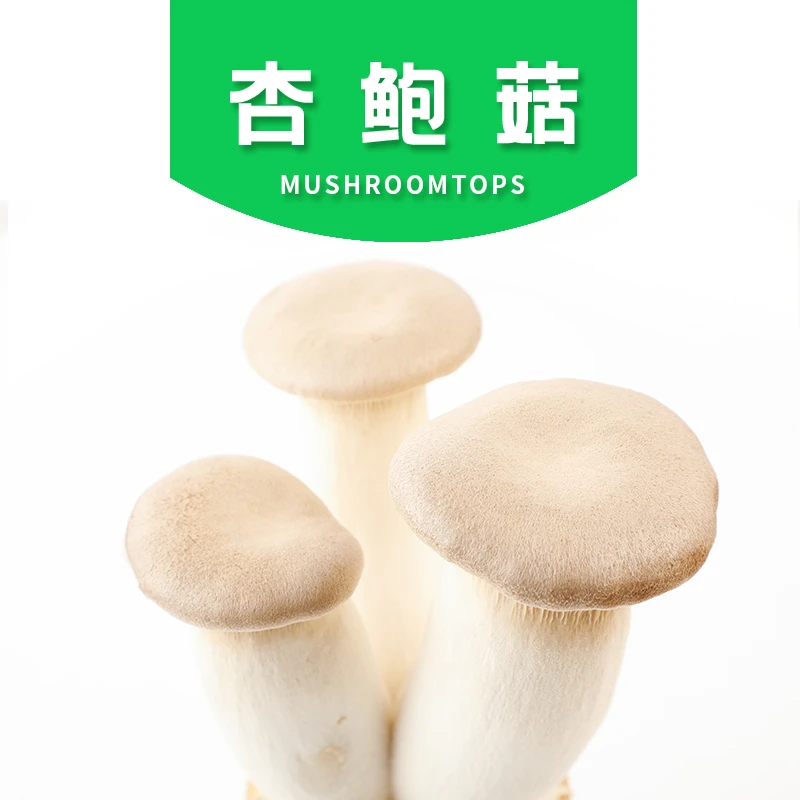 宇秀新鲜杏鲍菇瓶栽200g*5包