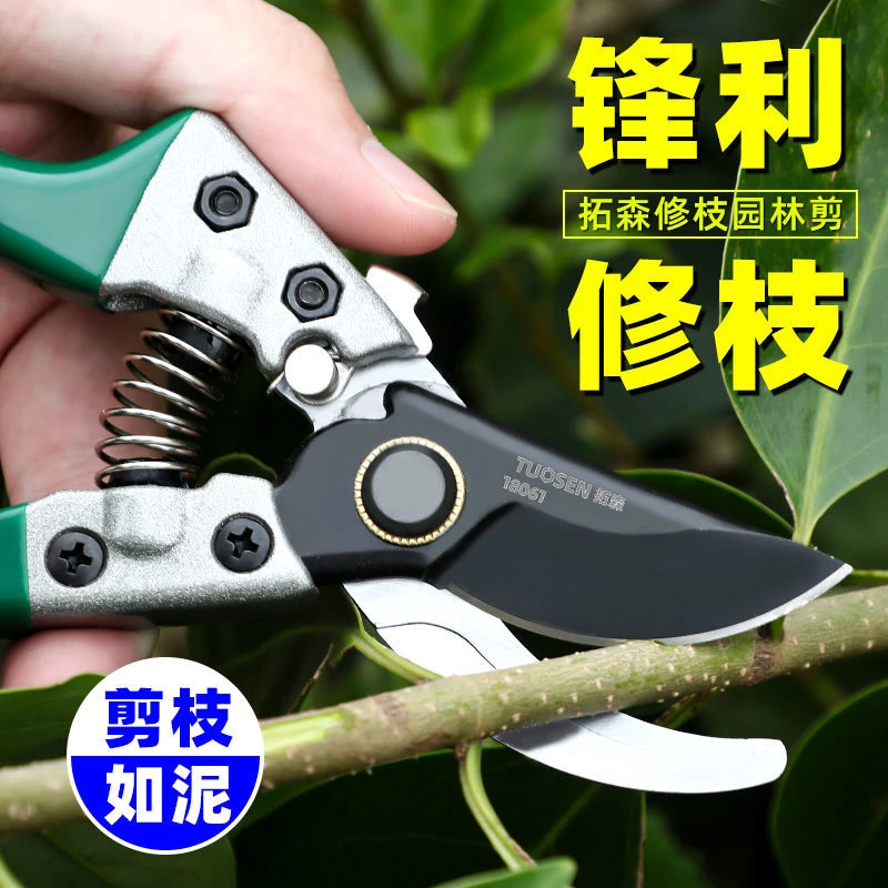 （达人专属）TS 8寸果枝剪SK5弯头粗枝剪园艺剪摘果园林树枝剪