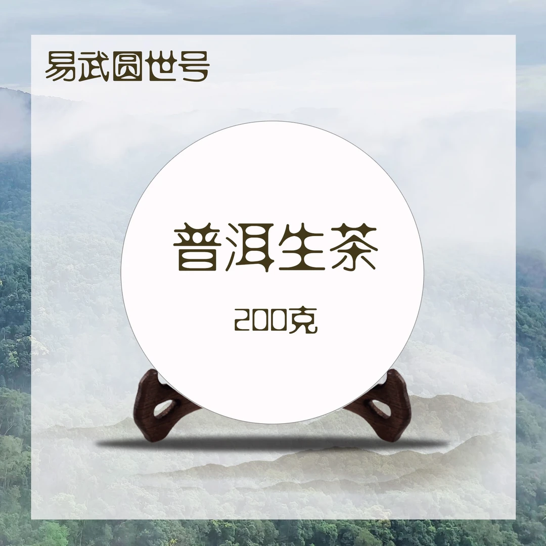 圆世号白石山单株2022年头春200克饼