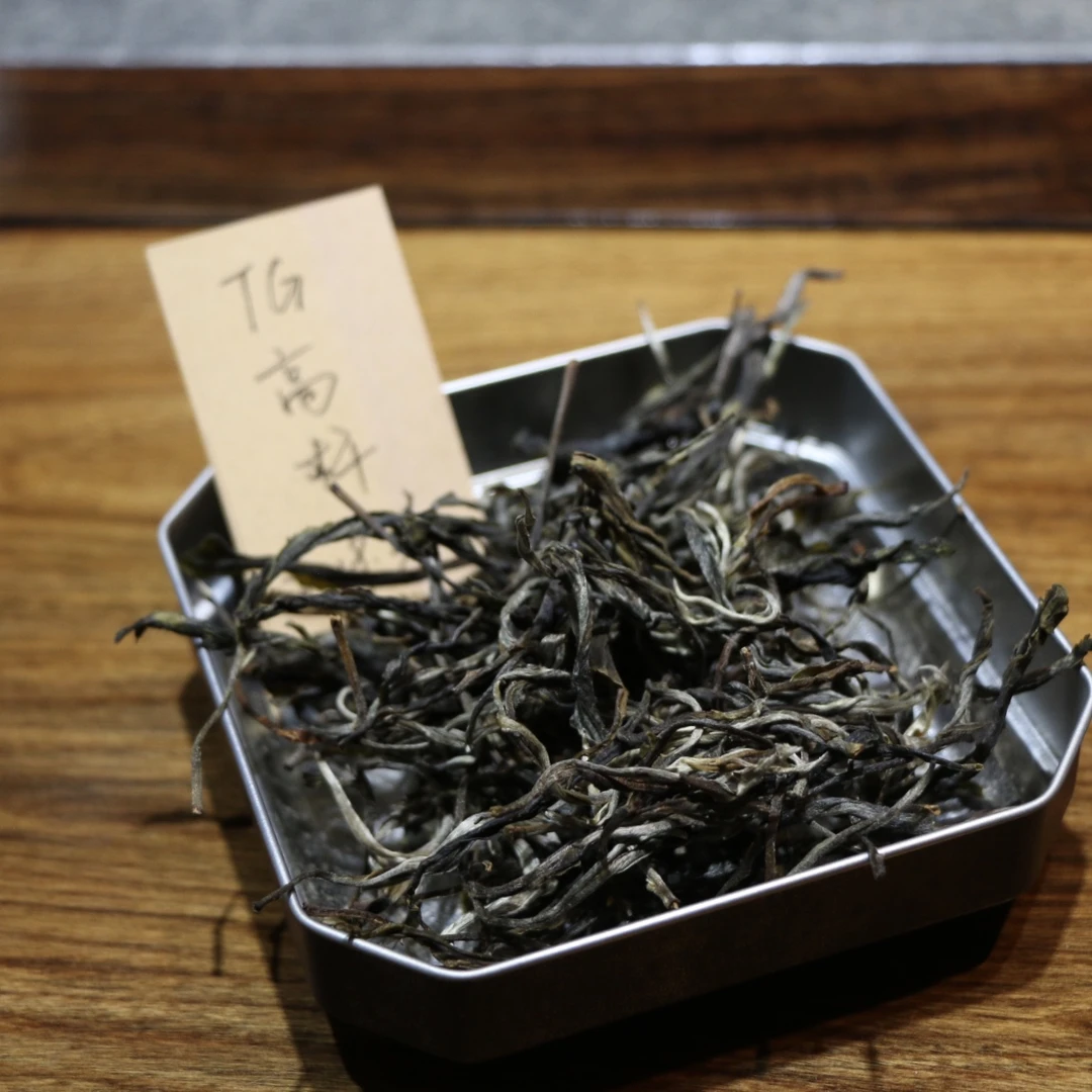 易武TG高杆【独树】50克/罐2022年头春普洱生茶