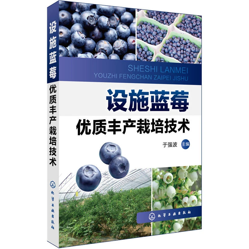 设施蓝莓优质丰产栽培技术蓝莓树莓栽培技术大全书蓝莓树种植技术
