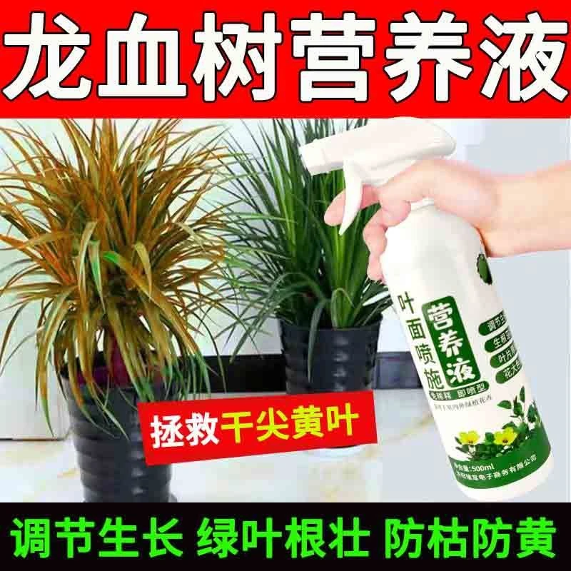 龙血树营养液防治黄叶干尖盆栽植物花卉通用绿植营养液免稀释直喷
