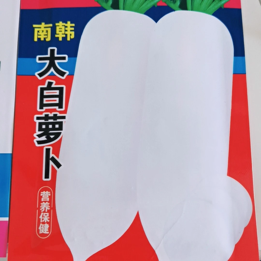 南韩大白萝卜种子（送小白萝卜种子）