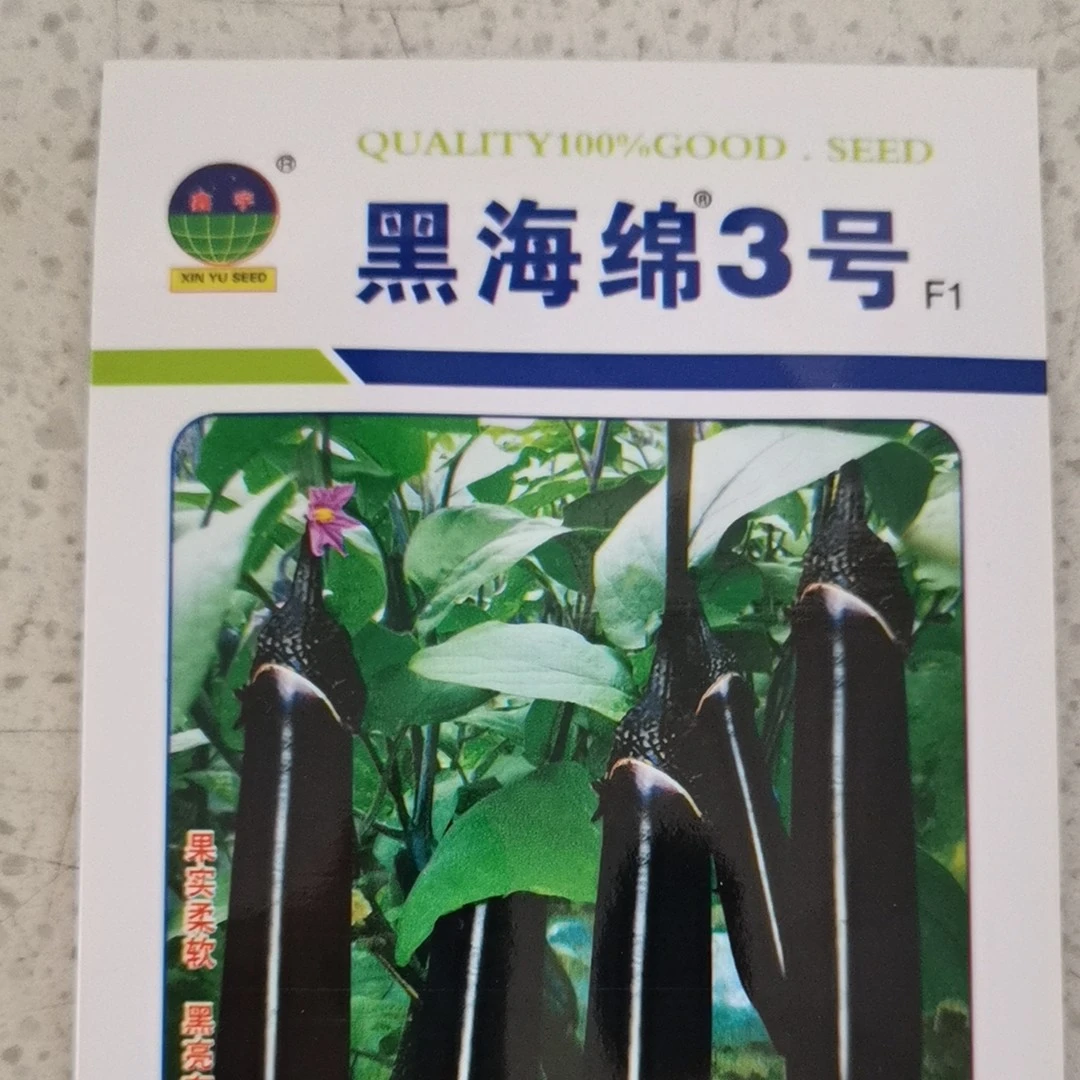 黑海绵3号茄子籽