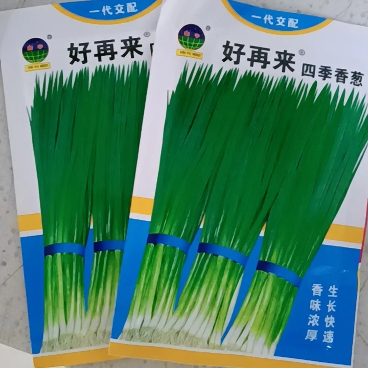 好再来四季香葱籽（拍一发二）