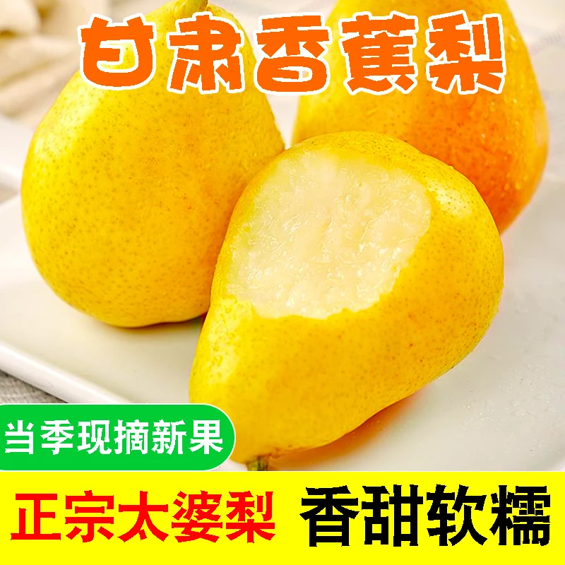 甘肃香蕉梨新鲜太婆梨香甜多汁当季大头梨孕妇软梨3/5/10斤洋水果