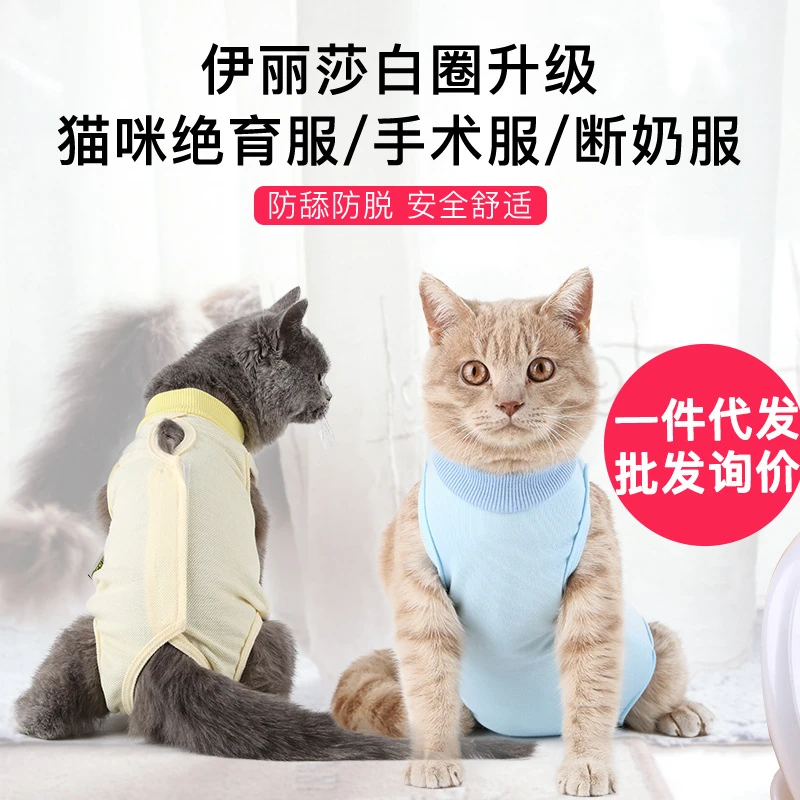 猫咪小小绝育服断奶服术后服防舔夏天宠物猫狗薄款衣服舒适透气