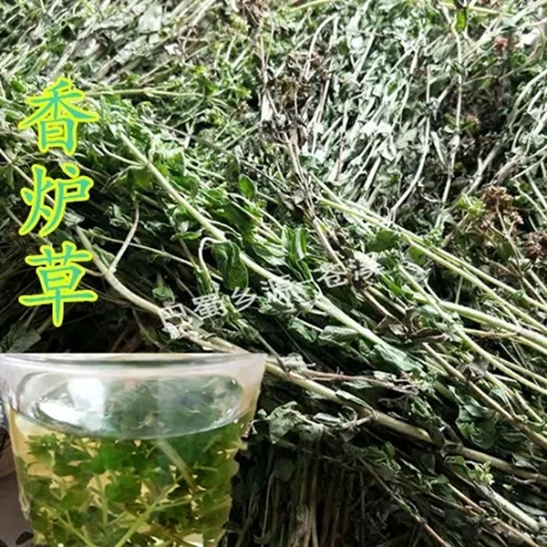 四川野生2025年新品香炉草香龙草100克包邮