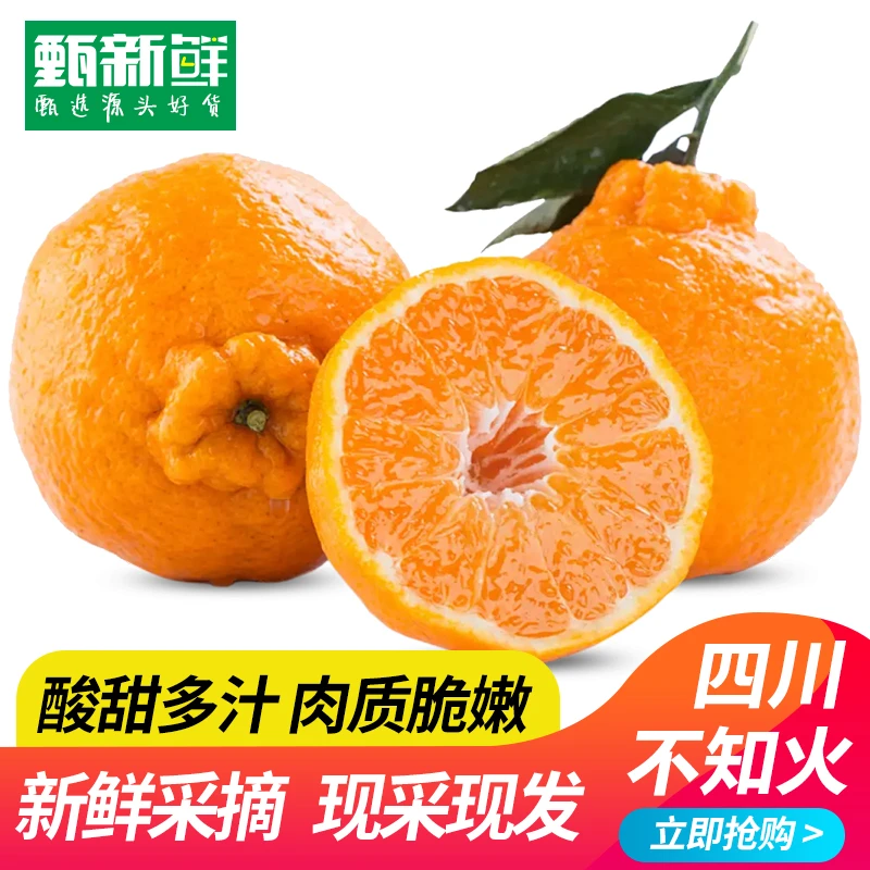 甄新鲜【八甜两酸】四川不知火丑橘丑八怪5/8斤装耙耙柑现采现发