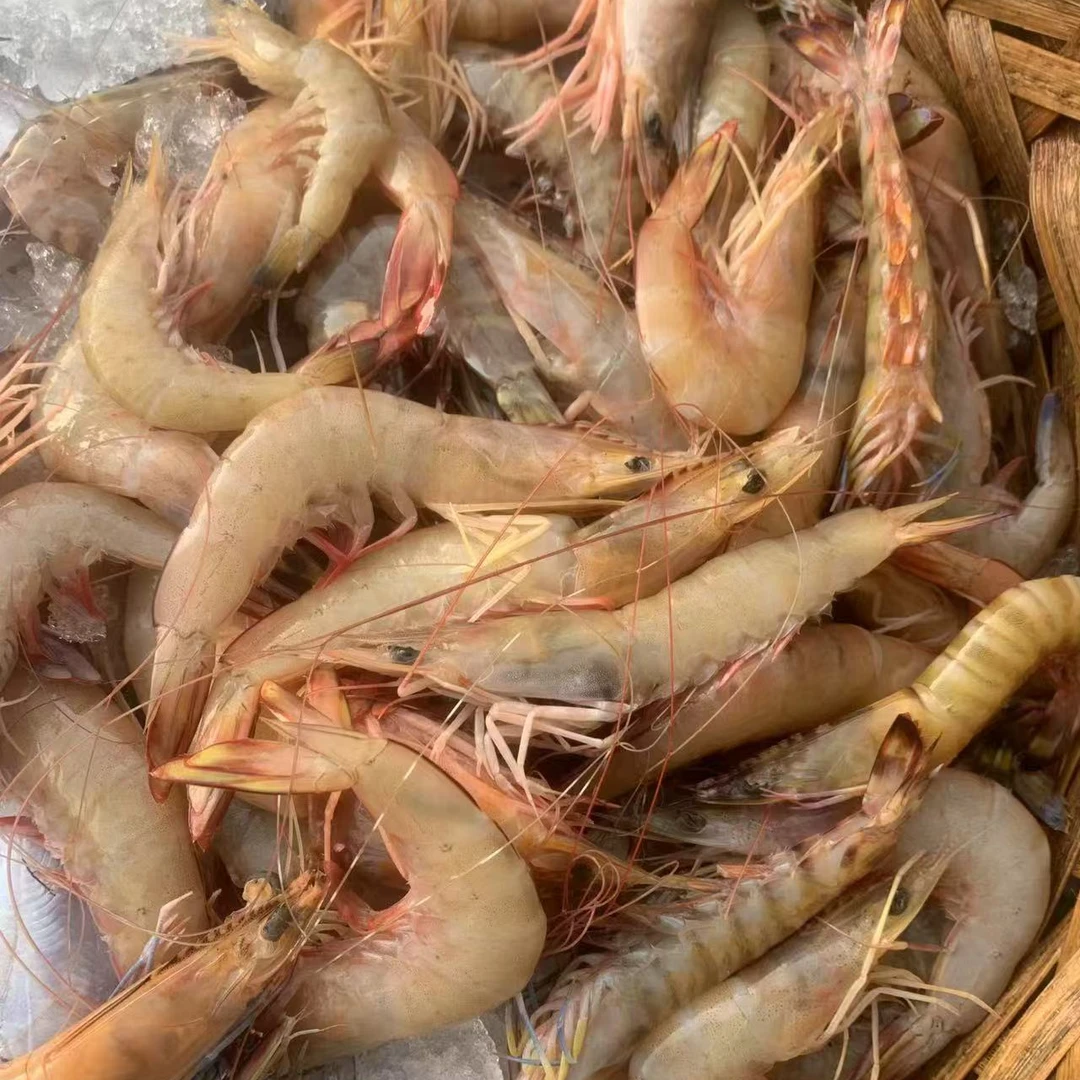 海口荣山寮新鲜海虾套餐