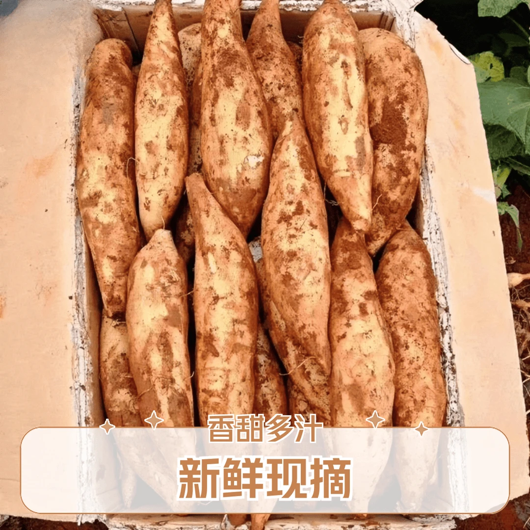 云南正宗天山雪莲果超甜黄红心白心新鲜水果应季批发整箱果园直发