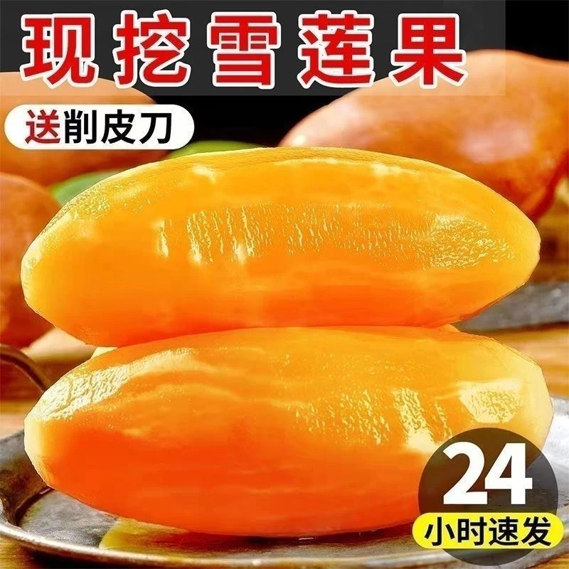 正宗云南天山雪莲果黄心低糖低卡老人小孩当季新鲜水果产地包邮发