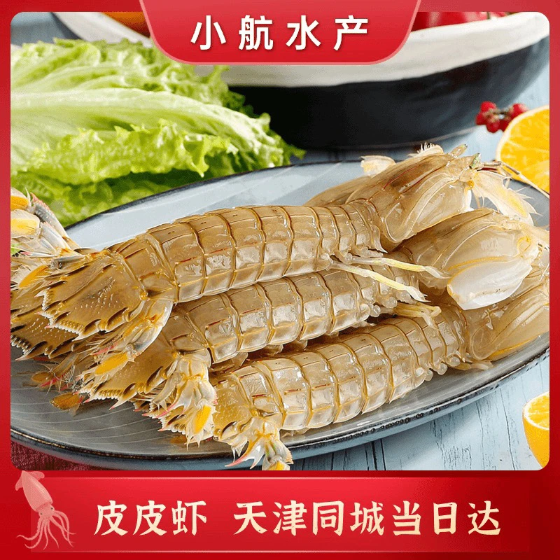 5斤【保鲜不保活】汉沽本地皮皮虾，野生的，大小不均，天津当日达！