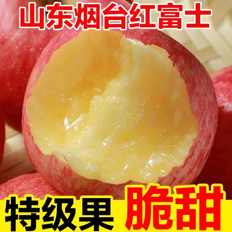 山东烟台栖霞红富士苹果正宗新鲜应季水果整箱脆甜糖心平果5斤