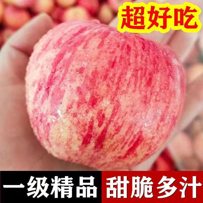 山东烟台红富士苹果栖霞水果脆甜新鲜冰糖心5/10斤整箱批发大果