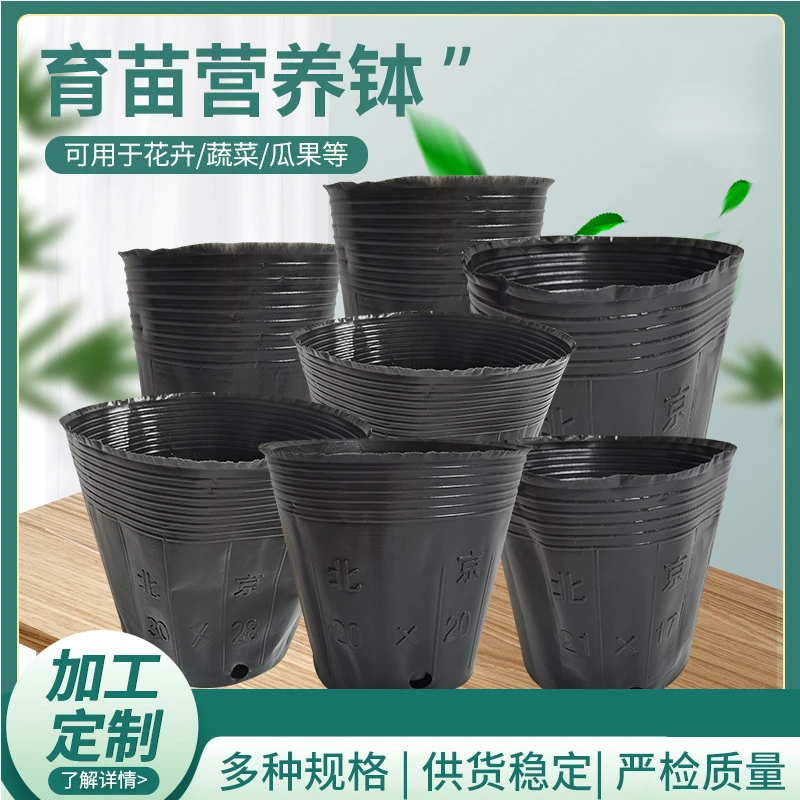 营养杯批发 厂家直供育苗杯 塑料黑色营养钵育苗钵 加厚种植栽培