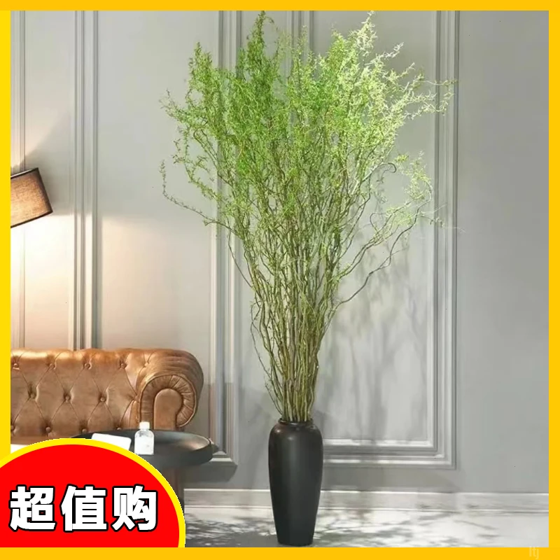 长根龙柳水培植物新鲜室内1.8米盆栽鲜枝装饰懒人客厅家庭养殖