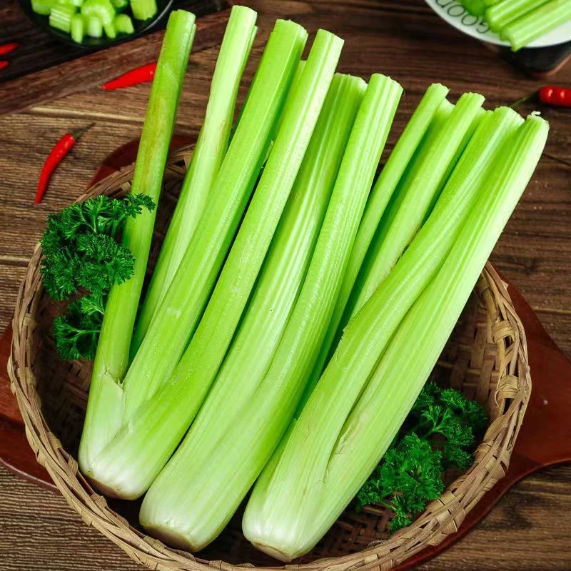 西芹新鲜大颗半叶芹菜新鲜榨汁5斤农家自种嫩芯青菜生鲜香芹蔬菜