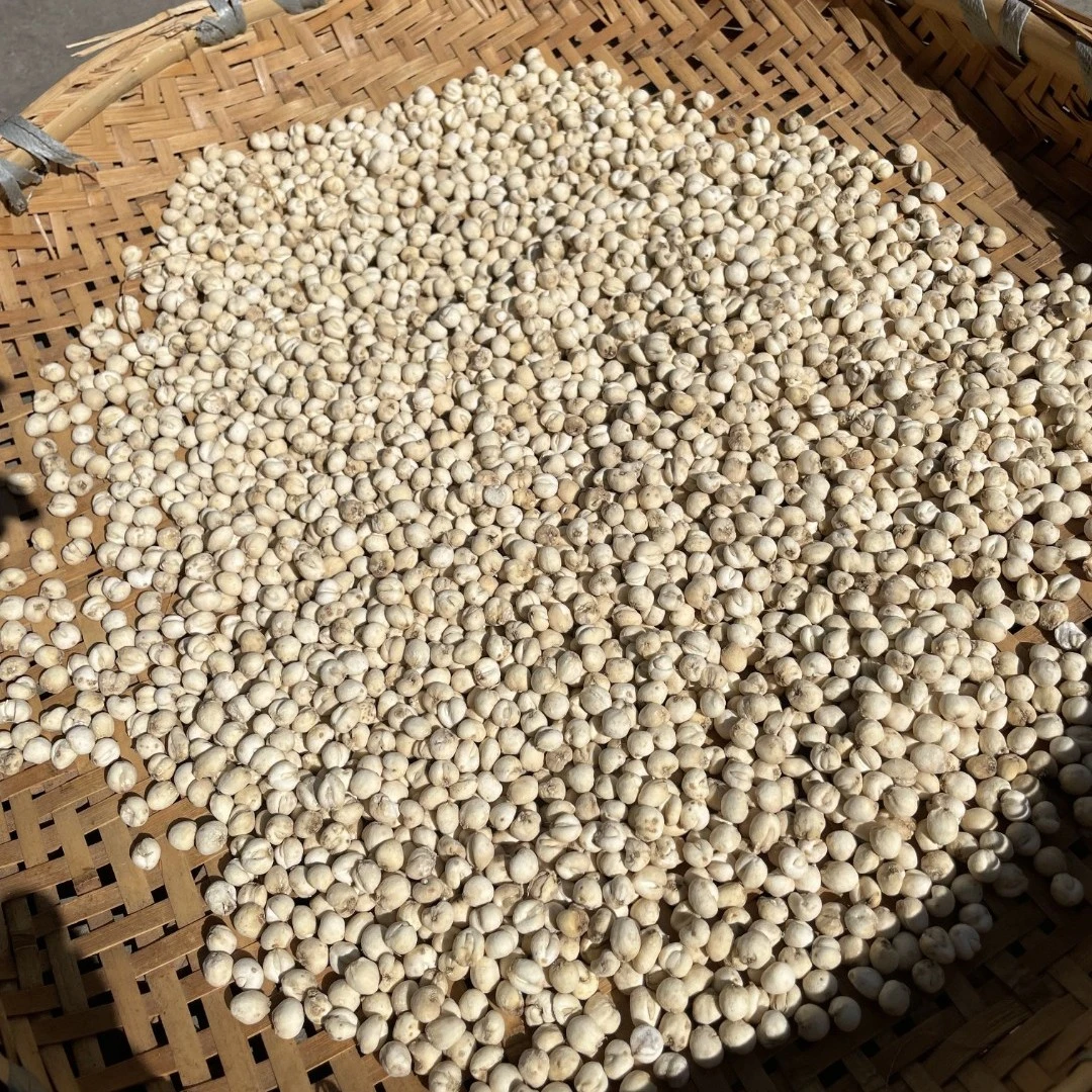 【川贝山货】这个季节很需要它 净含量100克起食用 贝姆
