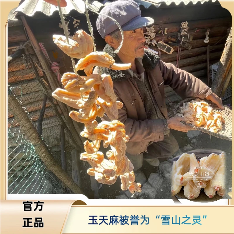 【白玉天麻深山好物】藏麻山货食材 净含量250克食用