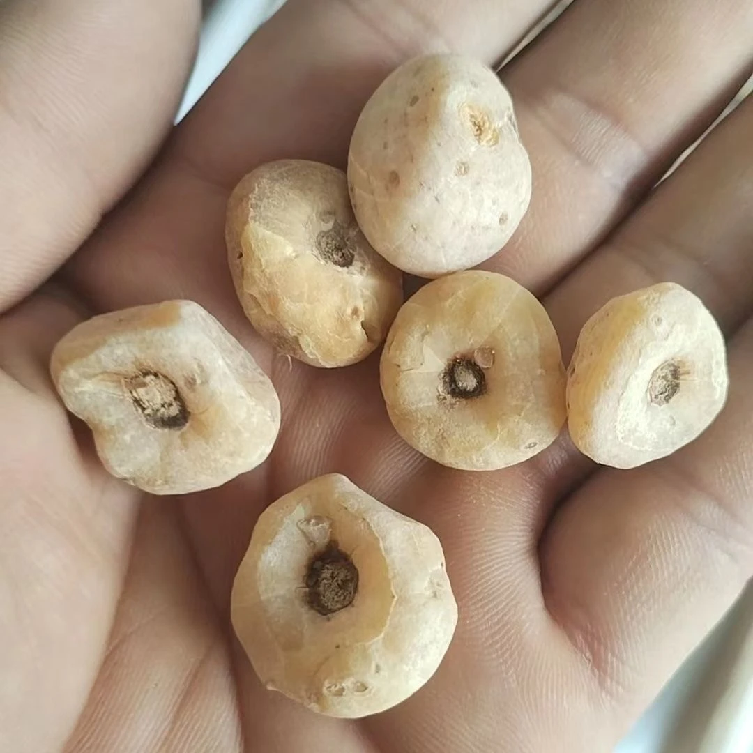 【玉皇丹】山野好货 净含量100克食用非当归