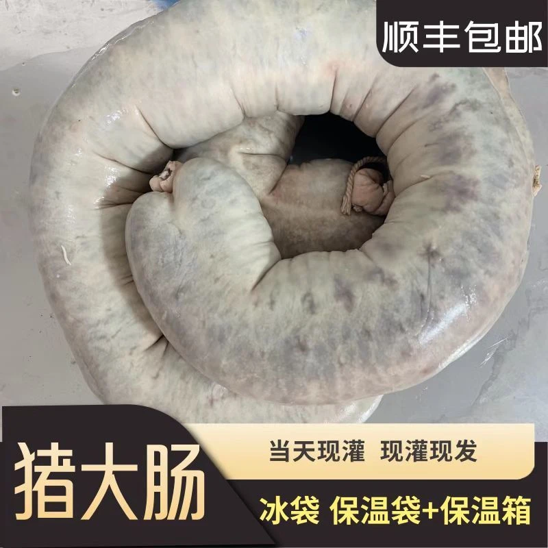新鲜东北猪大肠血肠纯手工笨猪血肠猪大肠东北酸菜炖血肠真空包装