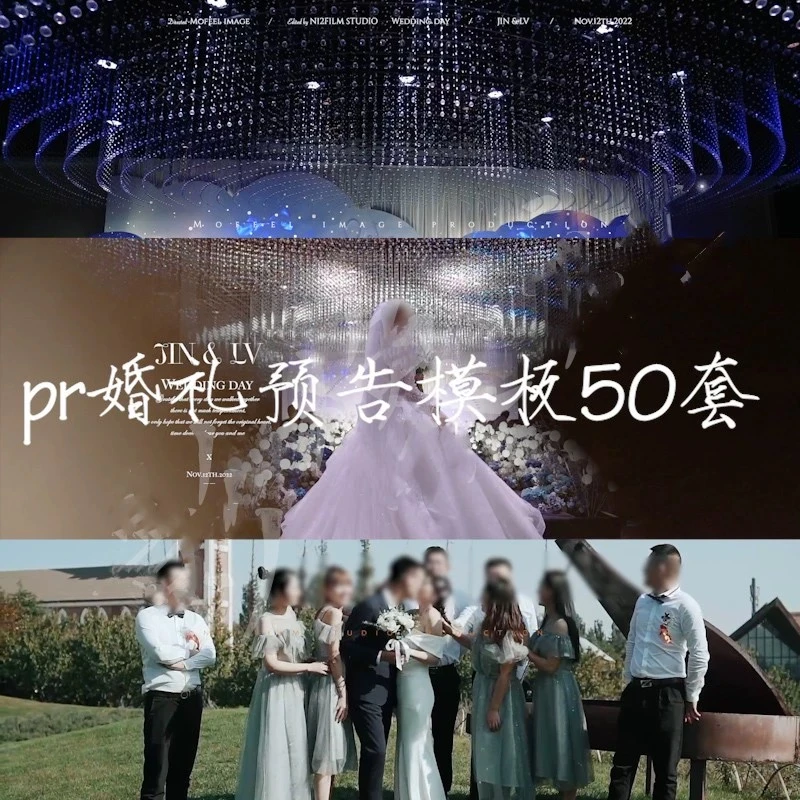 自用臻选50款PR 高端婚礼快剪，婚礼短片和婚礼预告模板 随意替换