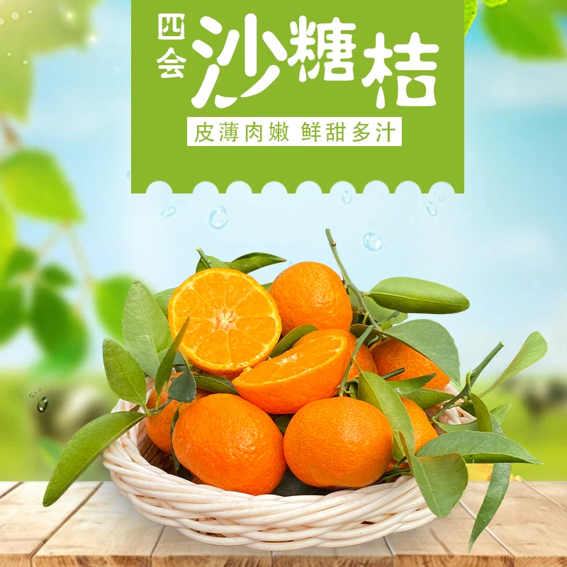 【正宗沙糖桔】砂糖橘子广东四会现摘现发当季新鲜水果礼盒装5斤起