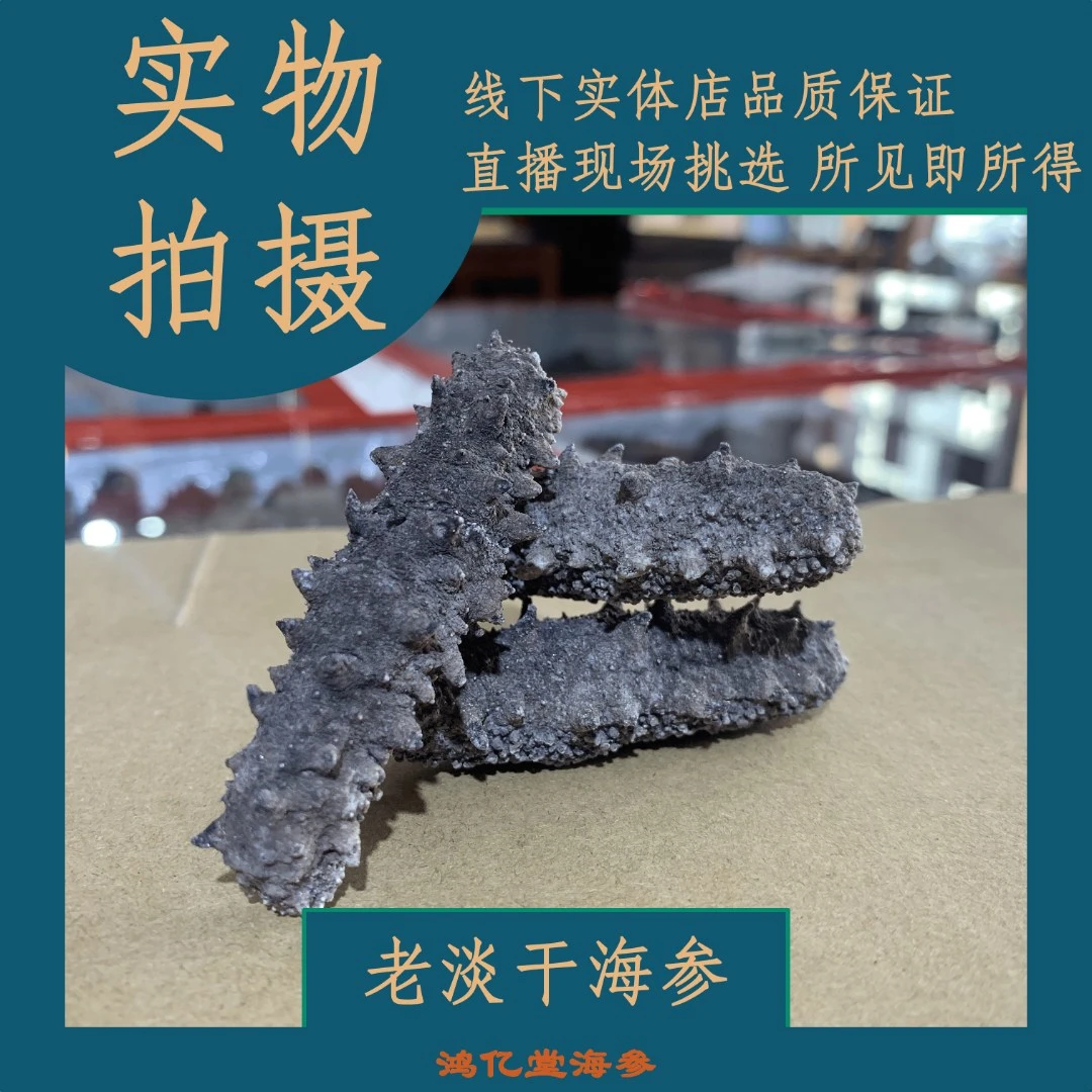大连淡干海参传统工艺手工晾晒 淡干辽刺参 纯干海参 500g
