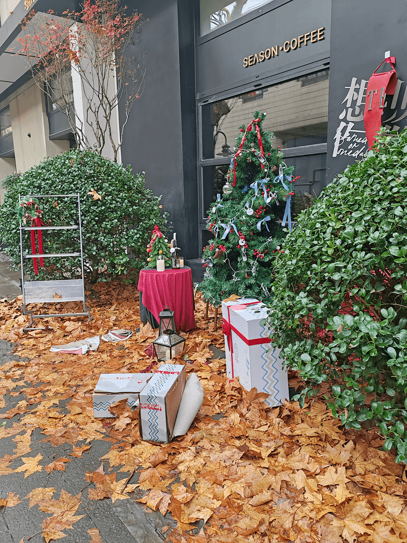 宠物用品盲盒（犬猫都有，下单备注品种体重）