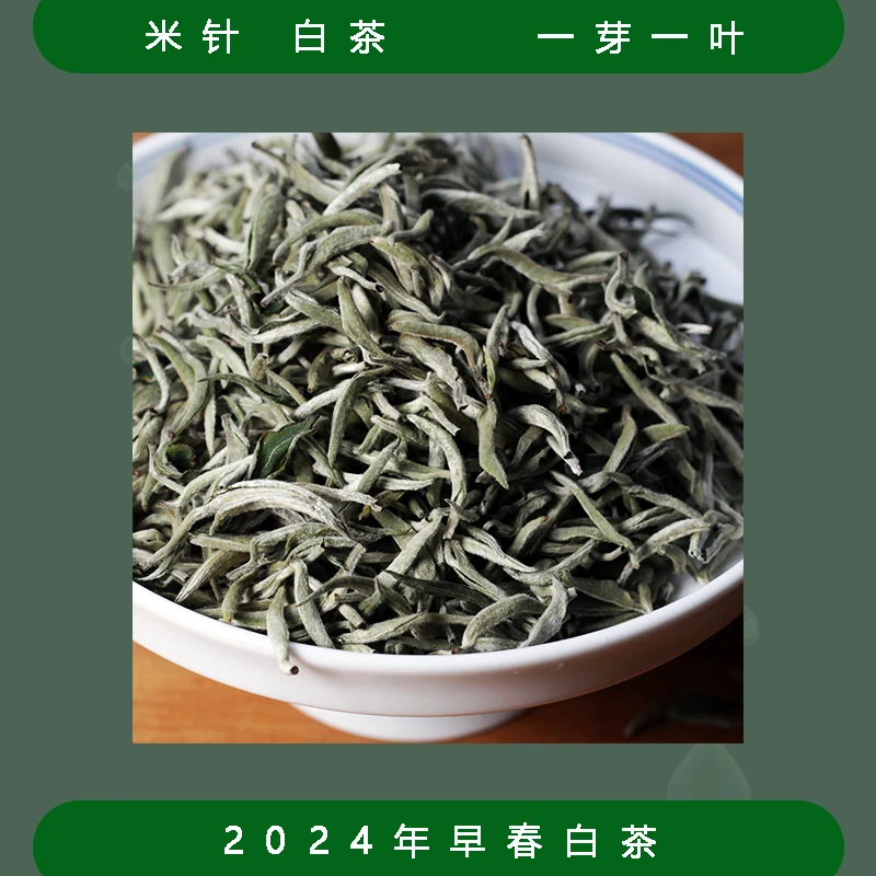白毫小米针（2024年 白茶）