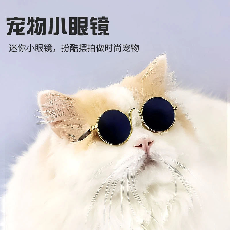 猫咪眼镜小时尚大小太阳墨镜批发小型宠物配饰镜个性饰品拍照用