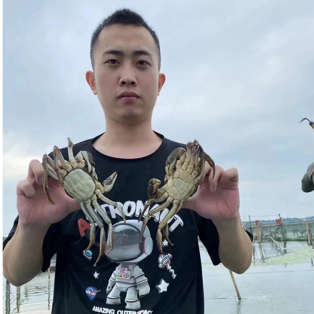 蟹遵湖正宗阳澄湖大闸蟹3.5公2.5两母8-10只鲜活水产塘养苏州顺丰
